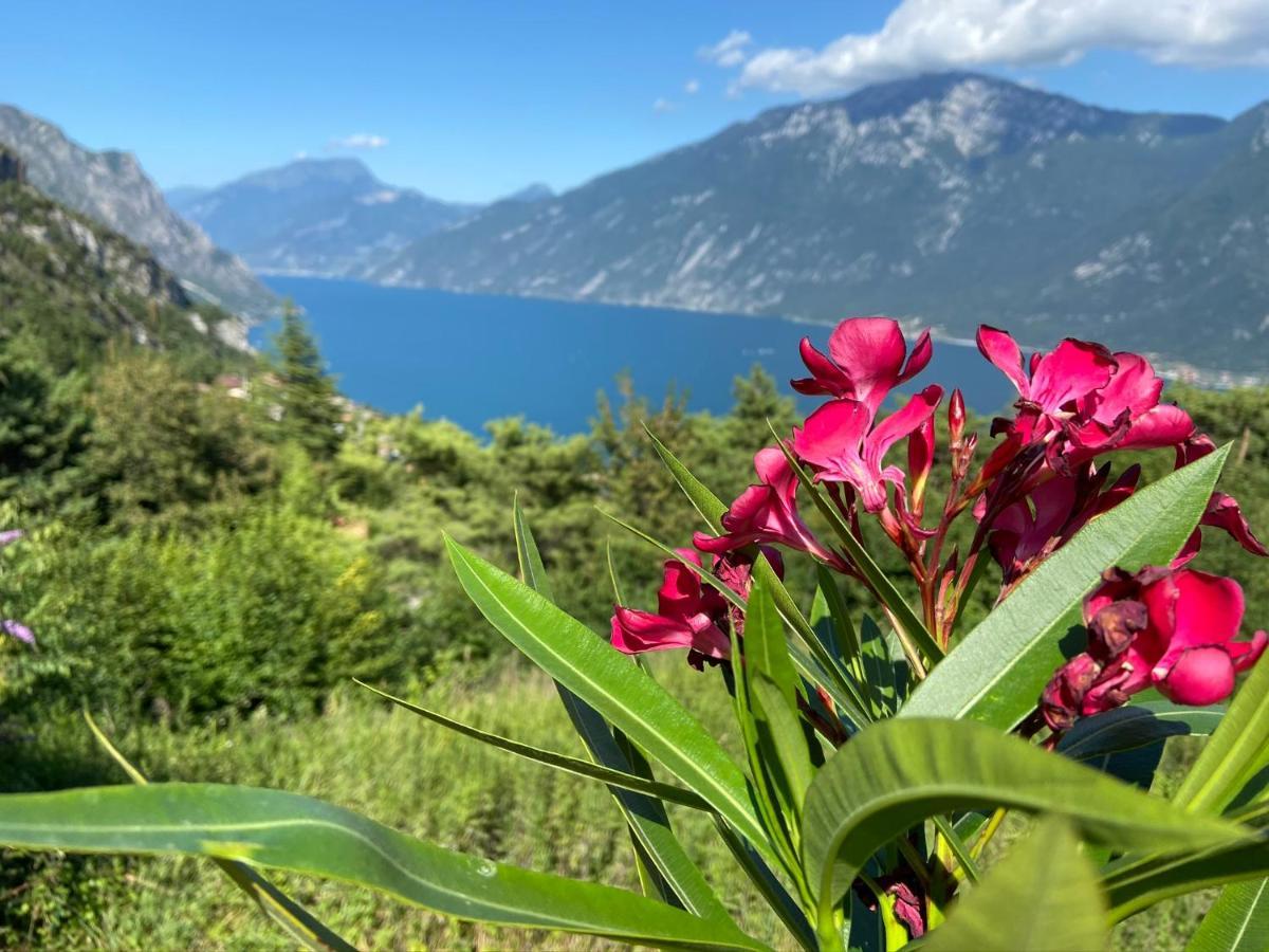 Un Balcone Sul Garda Διαμέρισμα Tremosine Εξωτερικό φωτογραφία